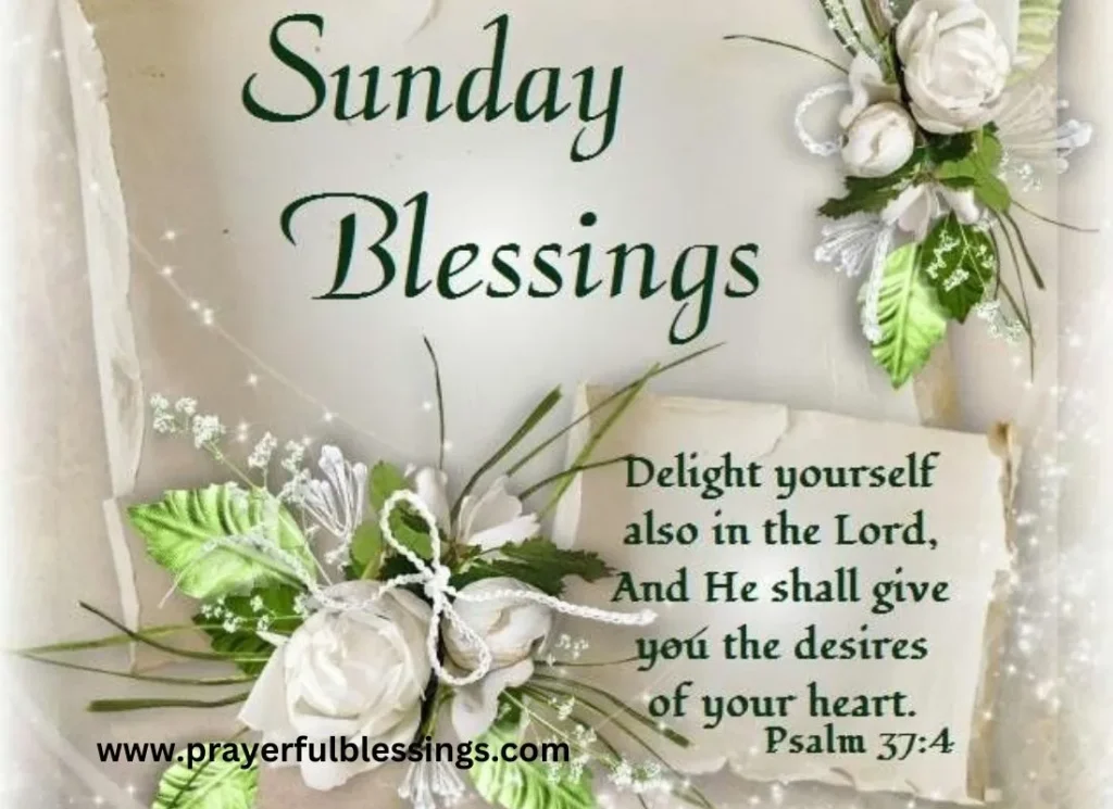 Inspirational Sunday Blessings and Prayers to Refresh Your Spirit for the Week Ahead