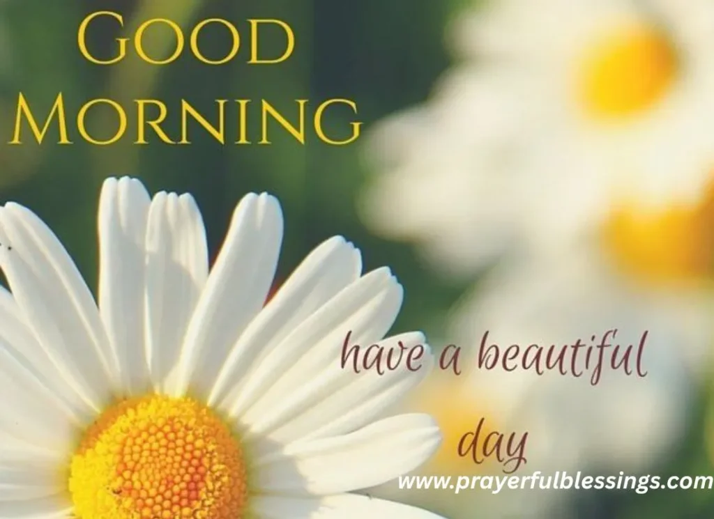 250+ Powerful Blessings And Prayer Message For Today