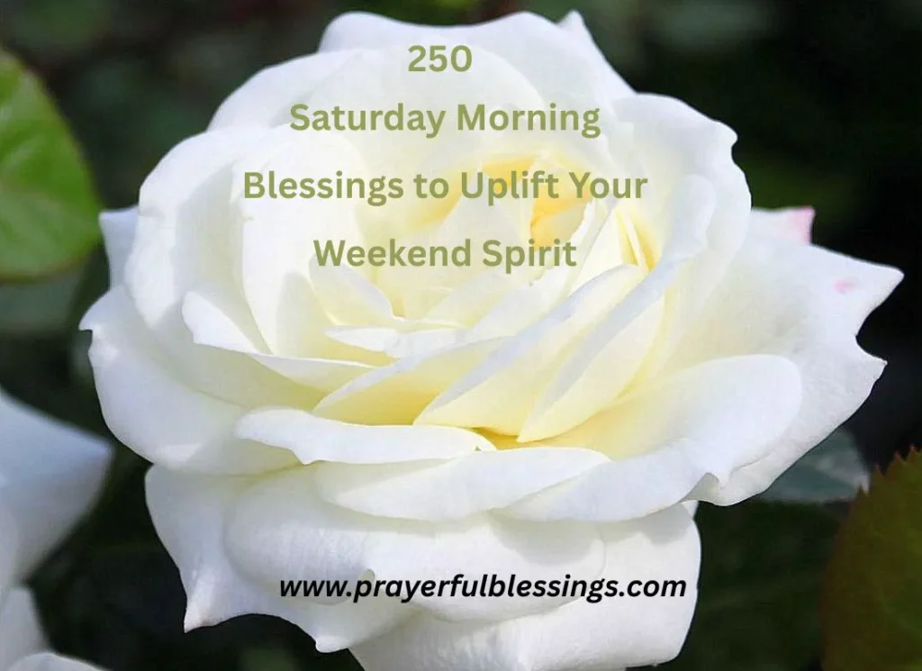 250 Saturday Morning Blessings to Uplift Your Weekend Spirit